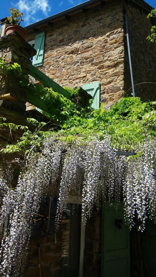 Casteljosse - Nature Calme Et Serenite Viala-du-Tarn Екстер'єр фото